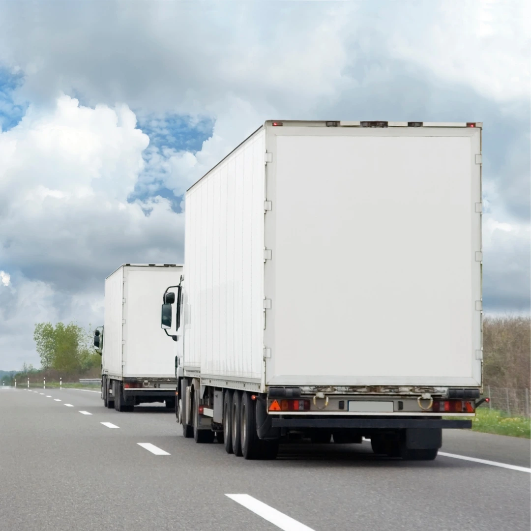 The Role of Packers and Movers in Long-Distance Moves