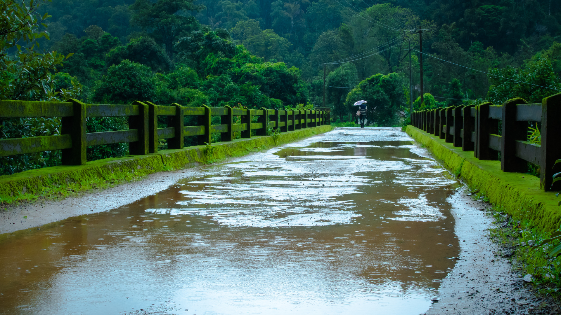 Monsoon in Coimbatore