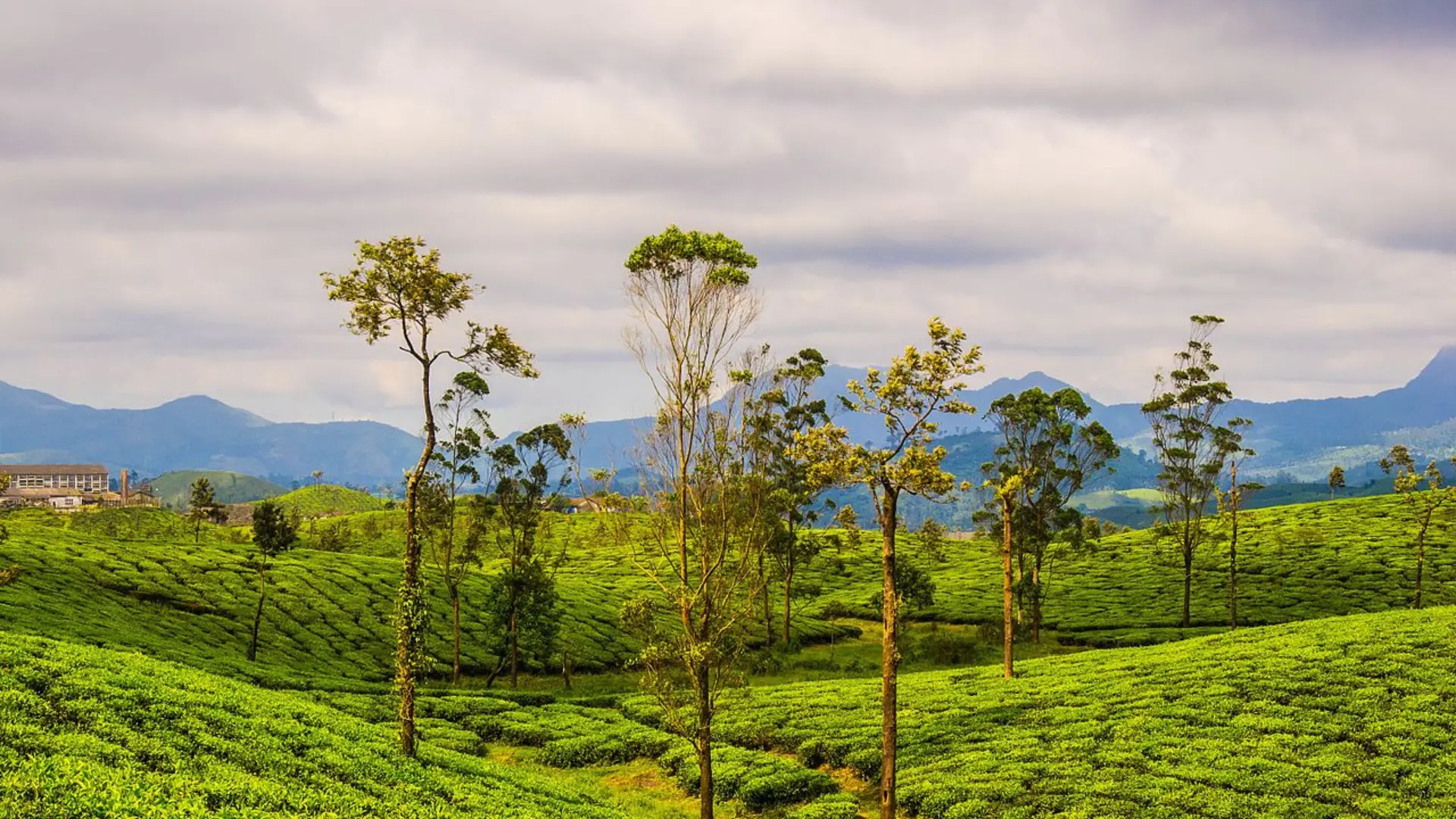 Valparai