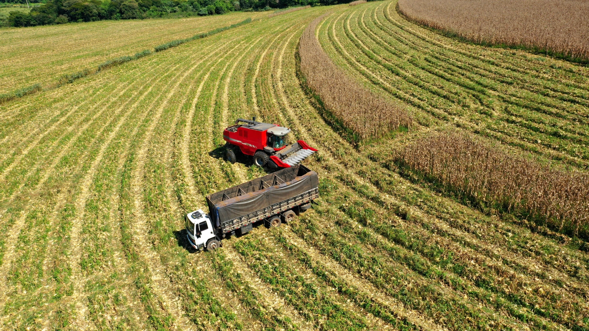 Agriculture and Agro-based Industry