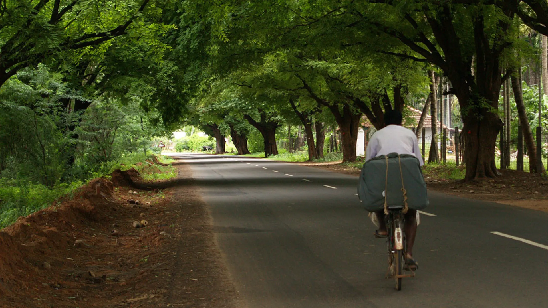 Streets of Coimbatore