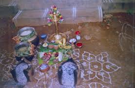Pongal in Coimbatore